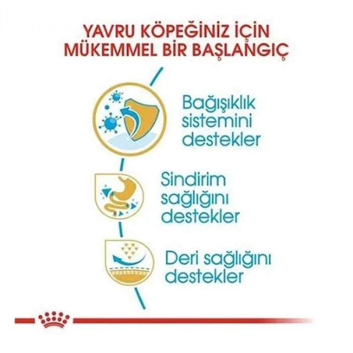 Royal Canin French Bulldog Junior Yavru Köpek Maması 3 Kg