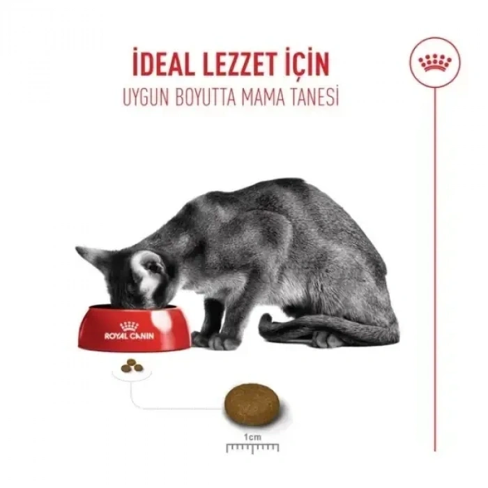 Royal Canin Fussy Exigent Seçici Yetişkin Kedi Maması 4 Kg
