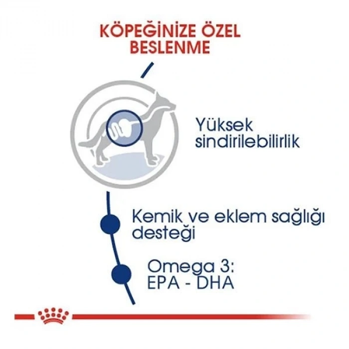 Royal Canin Maxi Adult Büyük Irk Yetişkin Köpek Maması 15 Kg