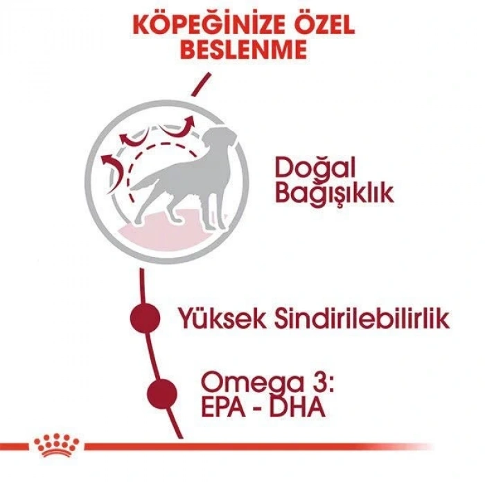 Royal Canin Medium Adult Yetişkin Köpek Maması 15 Kg