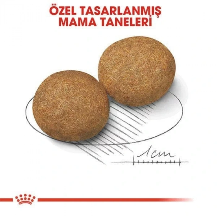 Royal Canin Medium Adult Yetişkin Köpek Maması 15 Kg