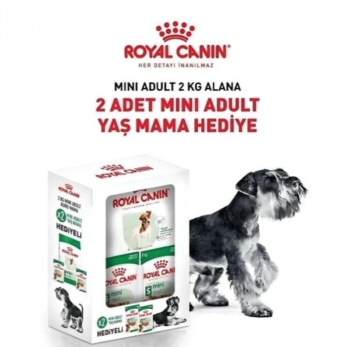 Royal Canin Mini Adult Küçük Irk Yetişkin Köpek Maması 2 Kg+2 Konserve Hediyeli