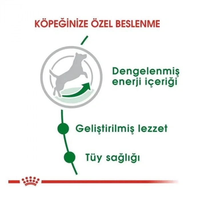 Royal Canin Mini Adult Küçük Irk Yetişkin Köpek Maması 2 Kg