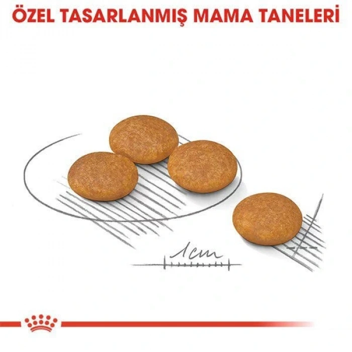 Royal Canin Mini Dermacomfort Yetişkin Köpek Maması 3 Kg