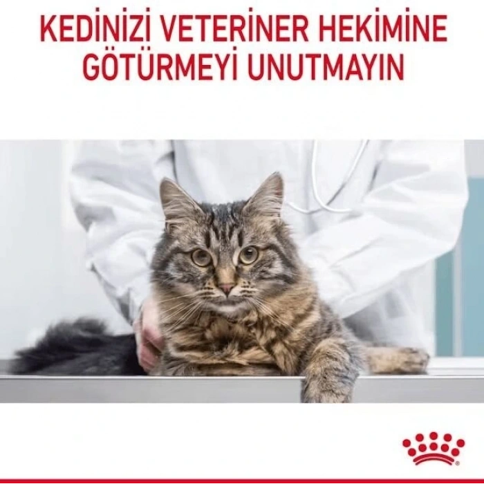 Royal Canin Oral Care Ağız ve Diş Sağlığı için Kedi Maması 1.5 Kg