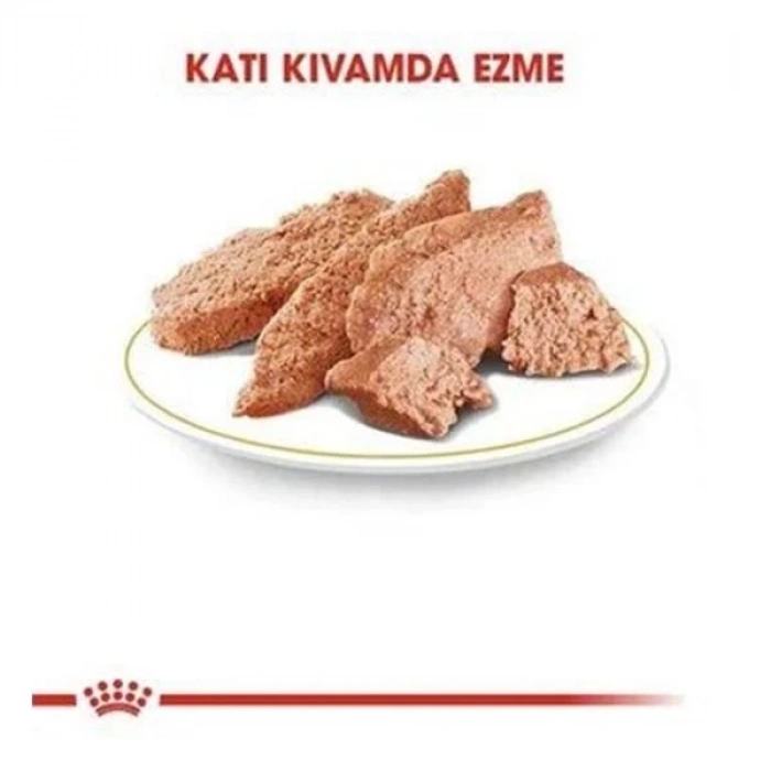 Royal Canin Persian Adult İran Kedisi Pouch Konserve Kedi Maması 1 Adet 85 Gr