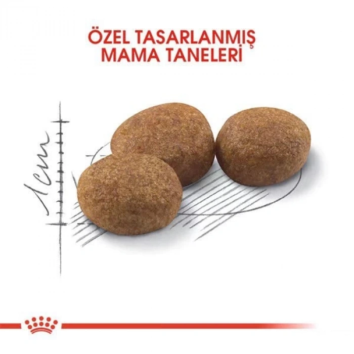 Royal Canin Sterilised Yetişkin Kısırlaştırılmış Kedi Maması 4 Kg