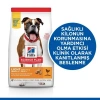 Hills Adult Light Medium Tavuklu Yetişkin Köpek Maması 14 Kg