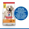 Hills Light Büyük Irk Tavuklu Diyet Köpek Maması 14 Kg