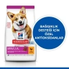 Hills Small & Mini Adult Tavuklu Köpek Maması 6 Kg