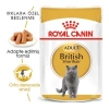 Royal Canin British Shorthair Adult Pouch Konserve Kedi Maması 1 Adet 85 Gr