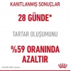 Royal Canin Oral Care Ağız ve Diş Sağlığı için Kedi Maması 1.5 Kg