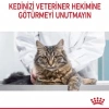 Royal Canin Oral Care Ağız ve Diş Sağlığı için Kedi Maması 1.5 Kg