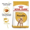 Royal Canin Poodle Adult Yetişkin Köpek Maması 3 Kg
