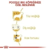 Royal Canin Poodle Adult Yetişkin Köpek Maması 3 Kg