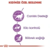 Royal Canin Sterilised 7+ Kısırlaştırılmış Kedi Maması 3.5 Kg