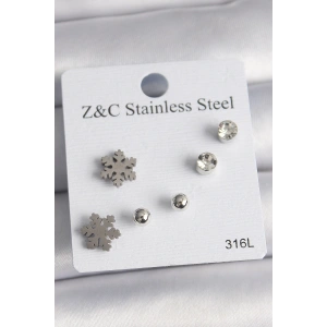 316L Çelik Gümüş Renk Zirkon Taşlı Kar Tanesi Model Kadın Küpe Seti