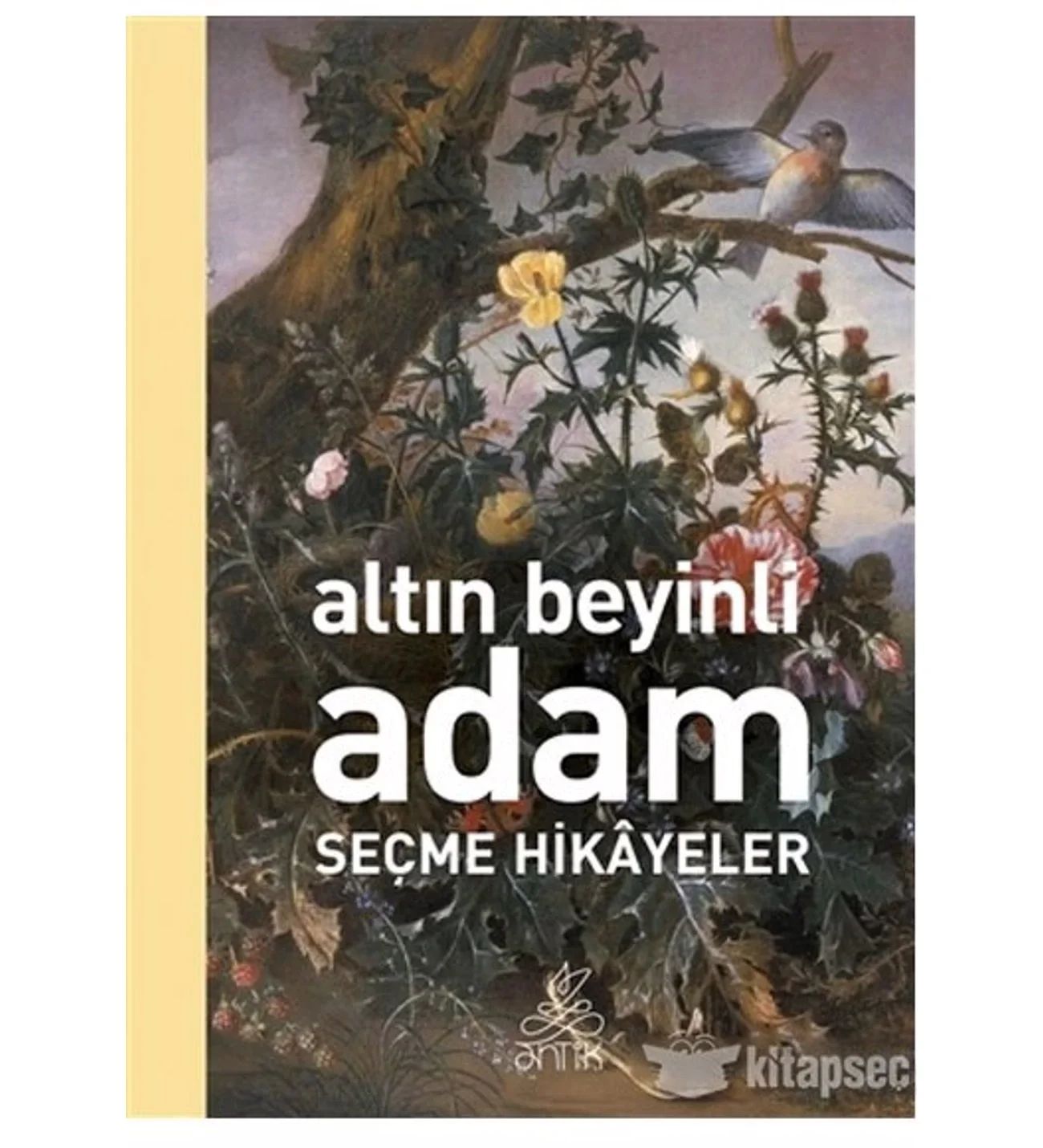 Altın Beyi̇Nli̇ Adam Seçme Hi̇Kayeler Anti̇K