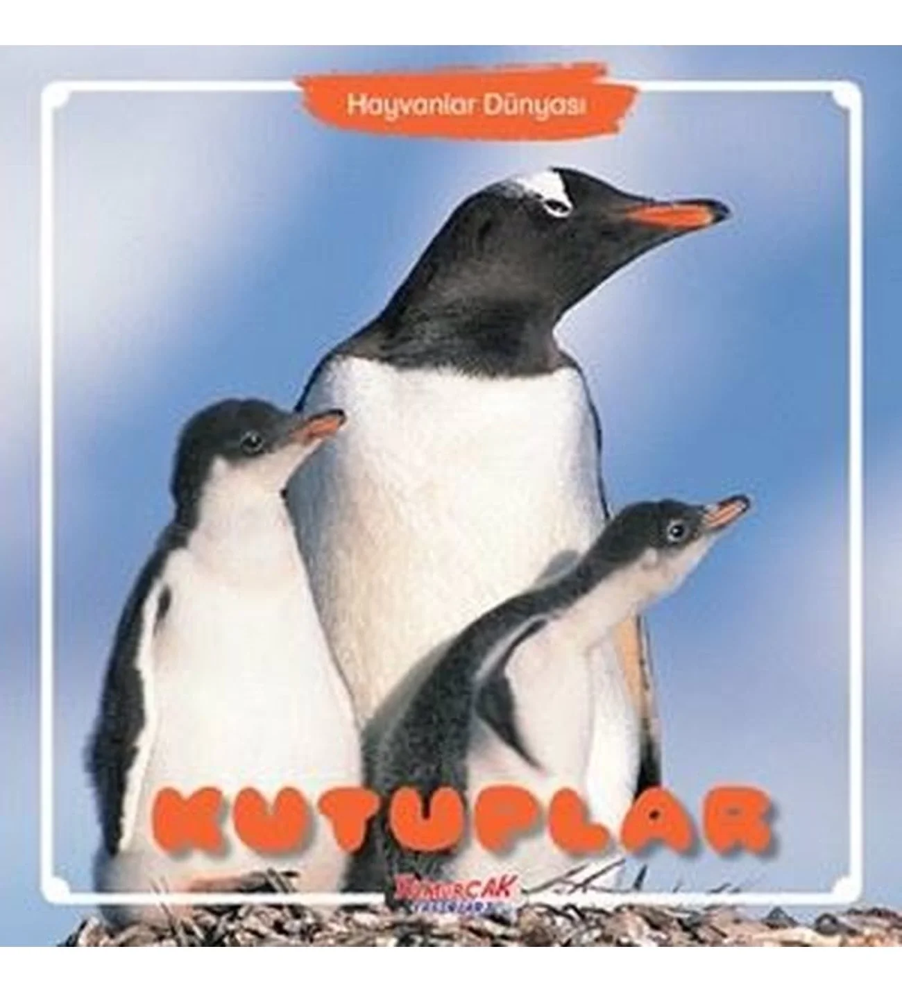 Kutuplar Dünyası Yumurcak