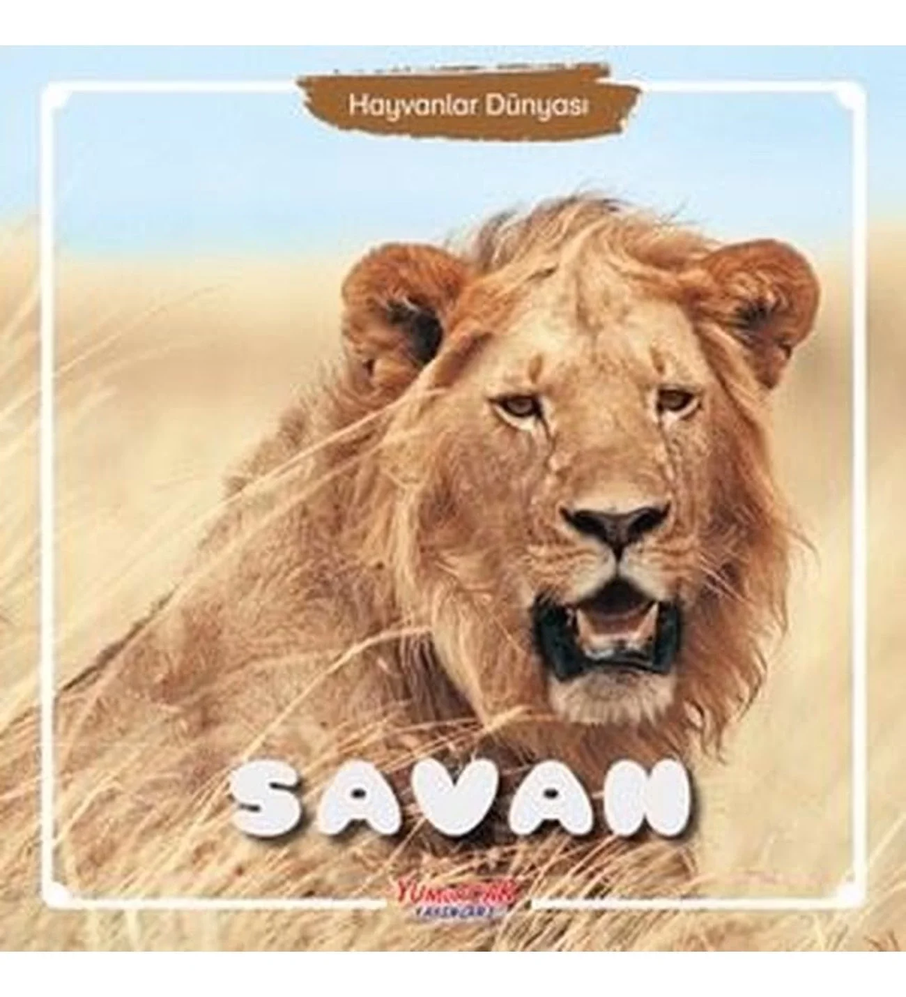 Savan Hayvanlar Dünyası Yumurcak