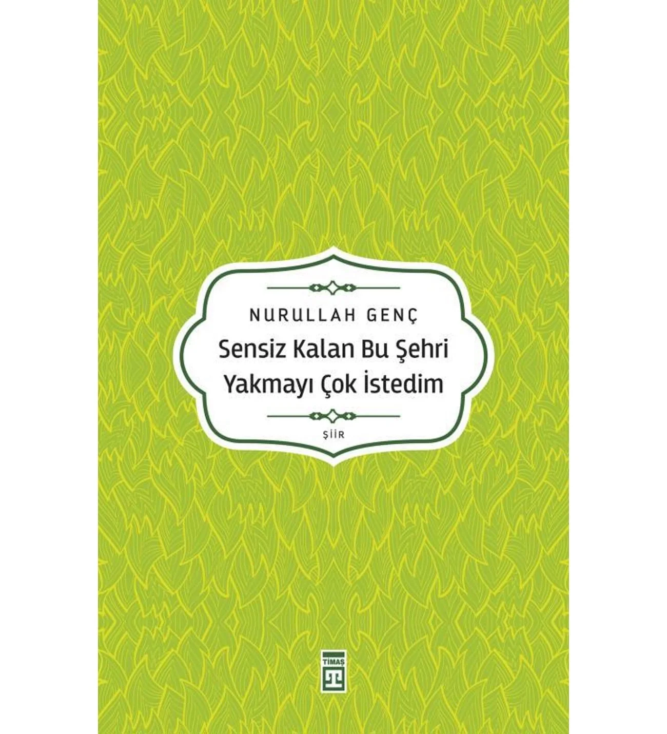 Sensiz Kalan Bu Şehri Yakmayı Çok İstedim Nurullah Genç