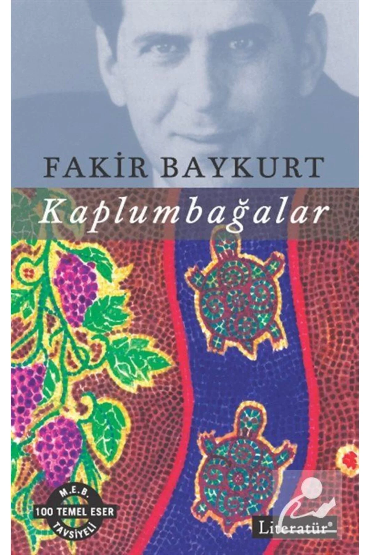 Kaplumbağalar Fakir Baykurt Literatür