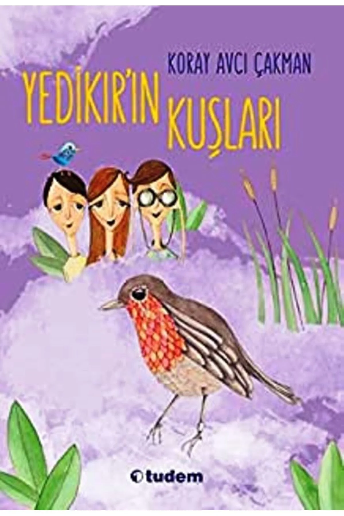 Yedikırın Kuşları Tudem