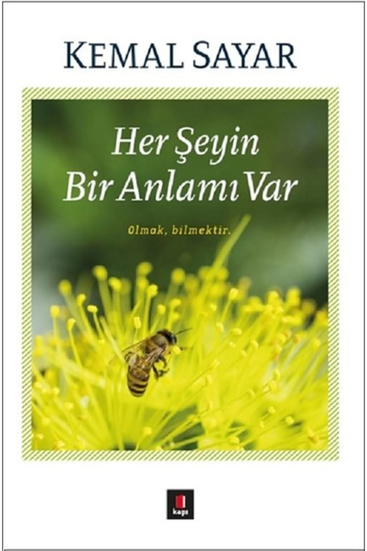 Herşeyin Bir Anlamı Var Kemal Sayar Kapı Yayınları
