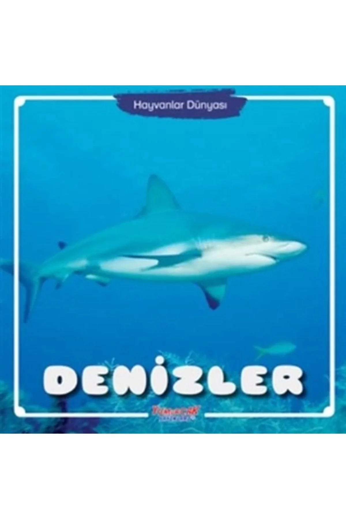 Denizler Hayvanlar Dünyası Yumurcak