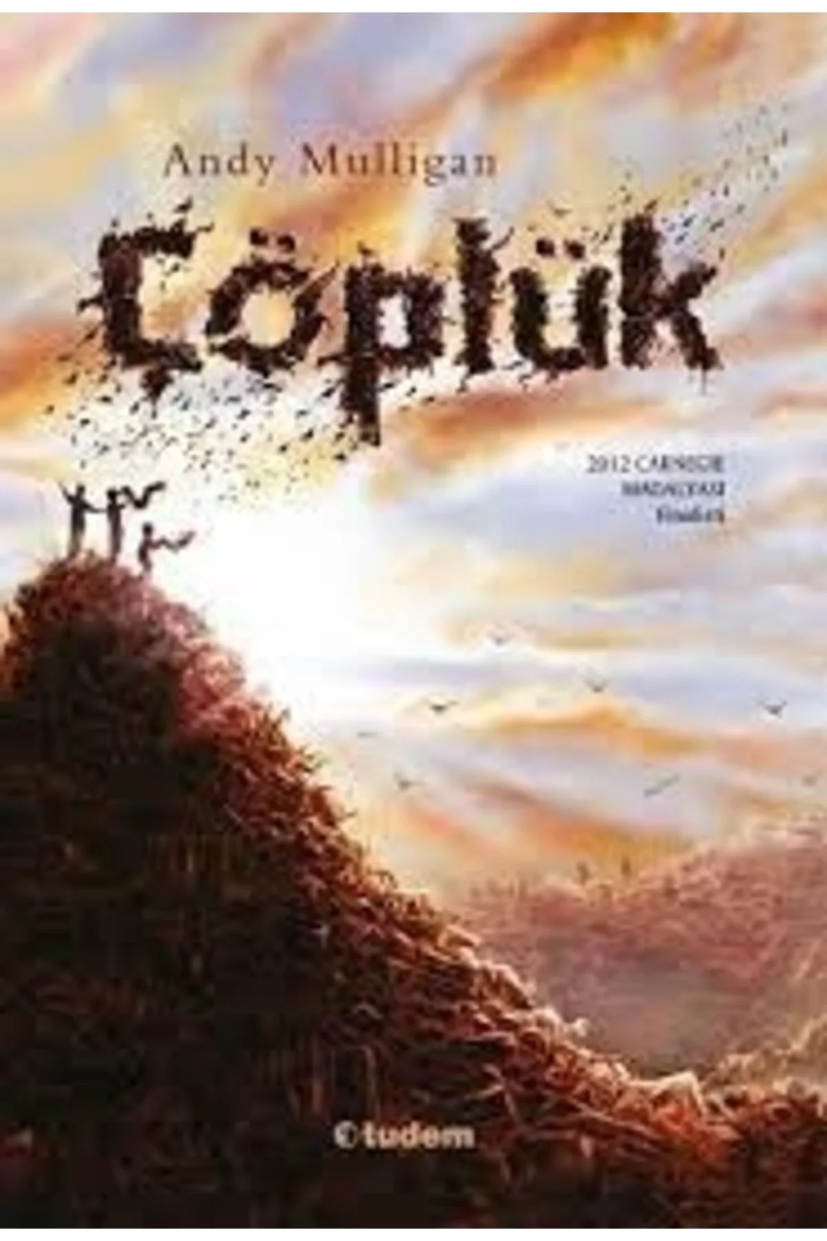 Çöplük Andy Mullingan Tudem