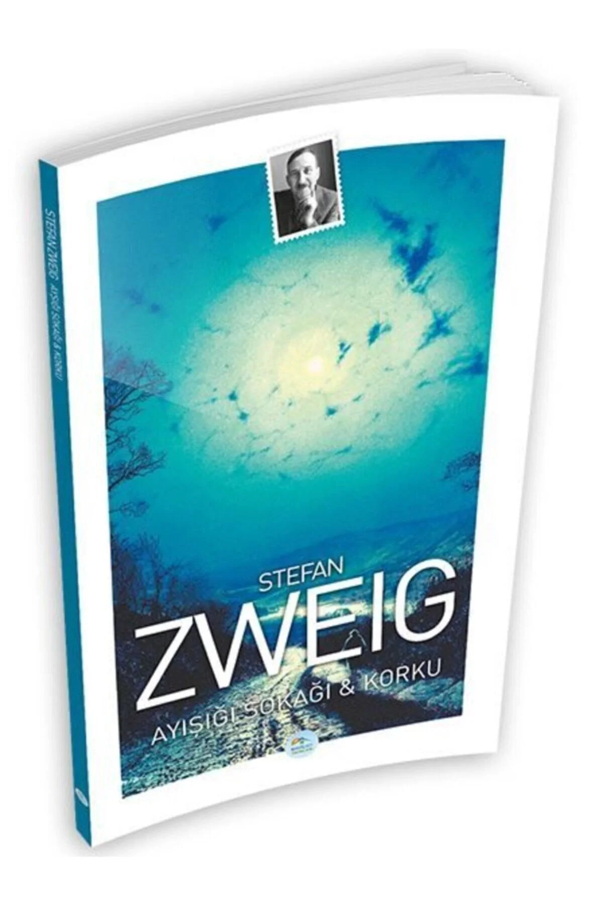 Ayışığı Sokağı Ve Korku Stefan Zweıg Mavi Çatı