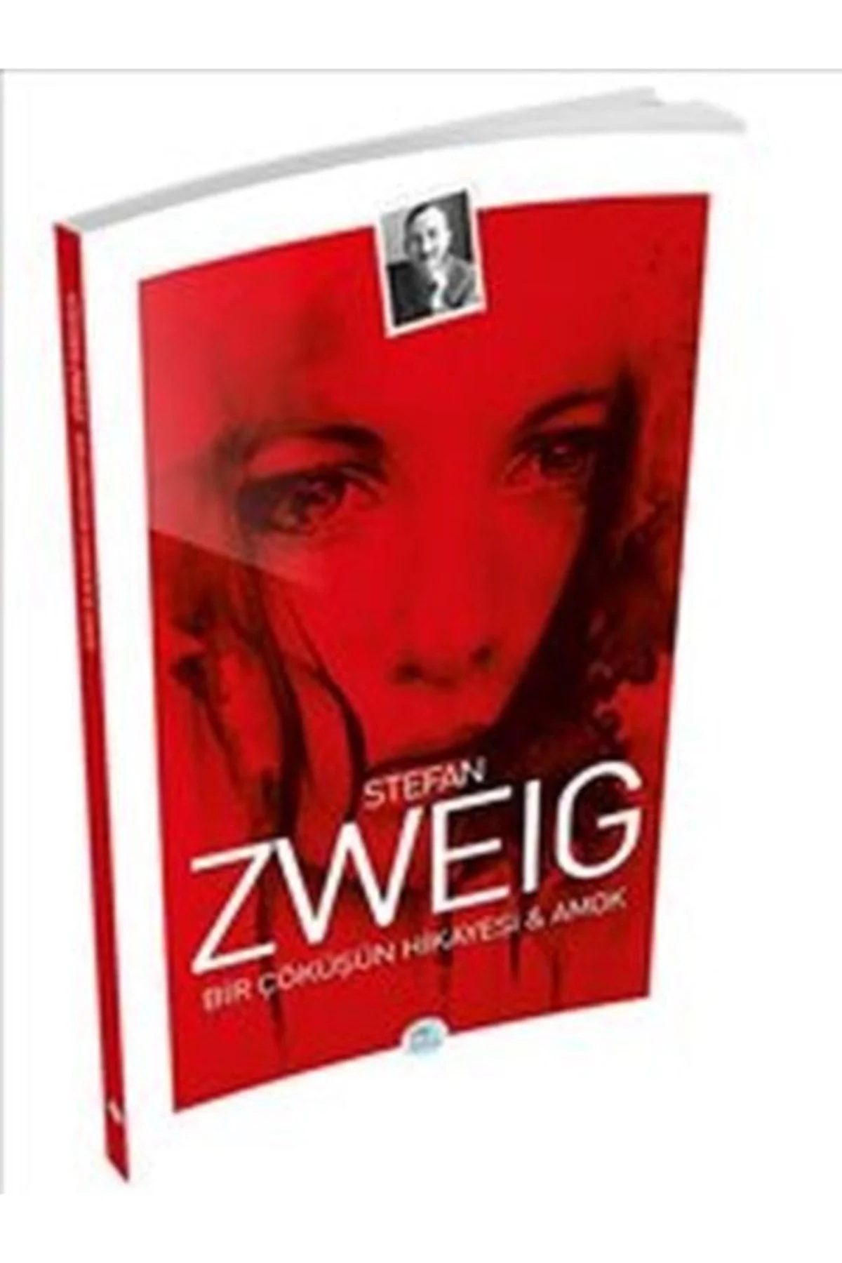 Bir Çöküşün Hikayesi Ve Amok Stefan Zweıg Mavi Çatı