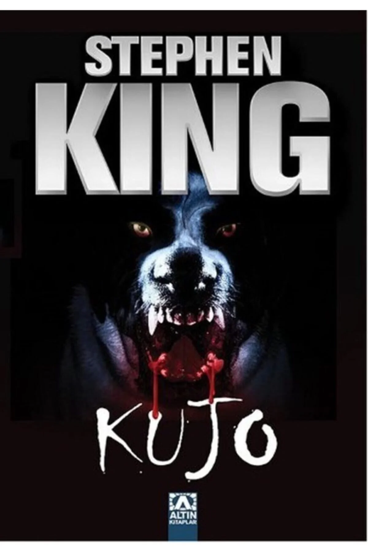 Kujo-Stephen Ki̇Ng Altın Kitap