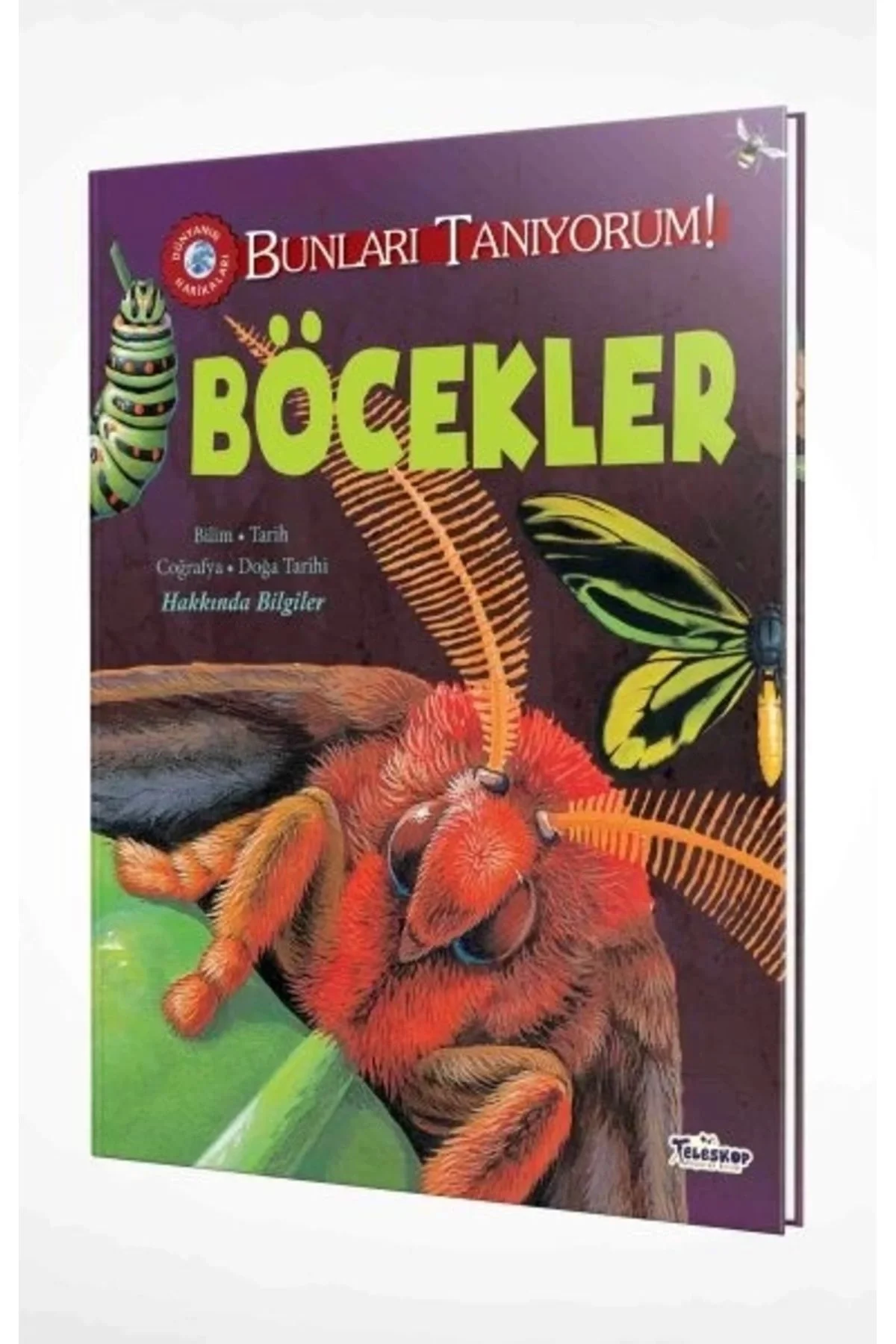 Böcekler Teleskop
