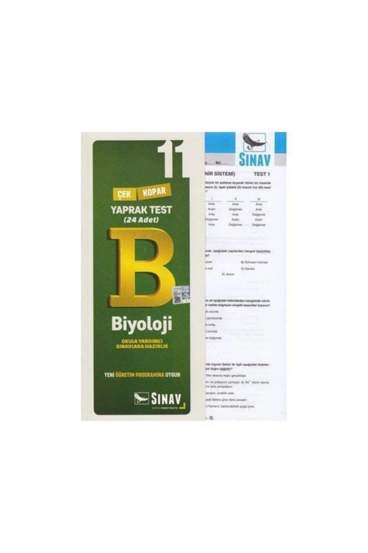 Sınav 11.Sınıf Biyoloji Yaprak Test