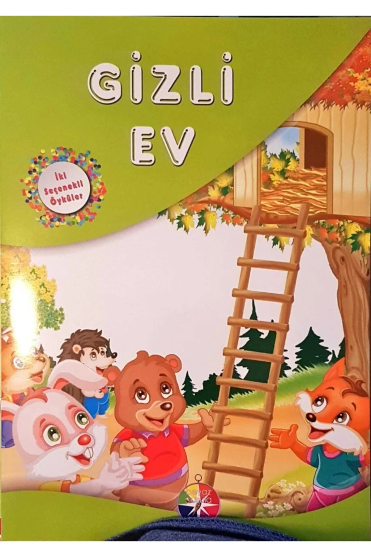 Gizli Ev İki Seçenekli Öyküler Dizisi Beyaz Pusula