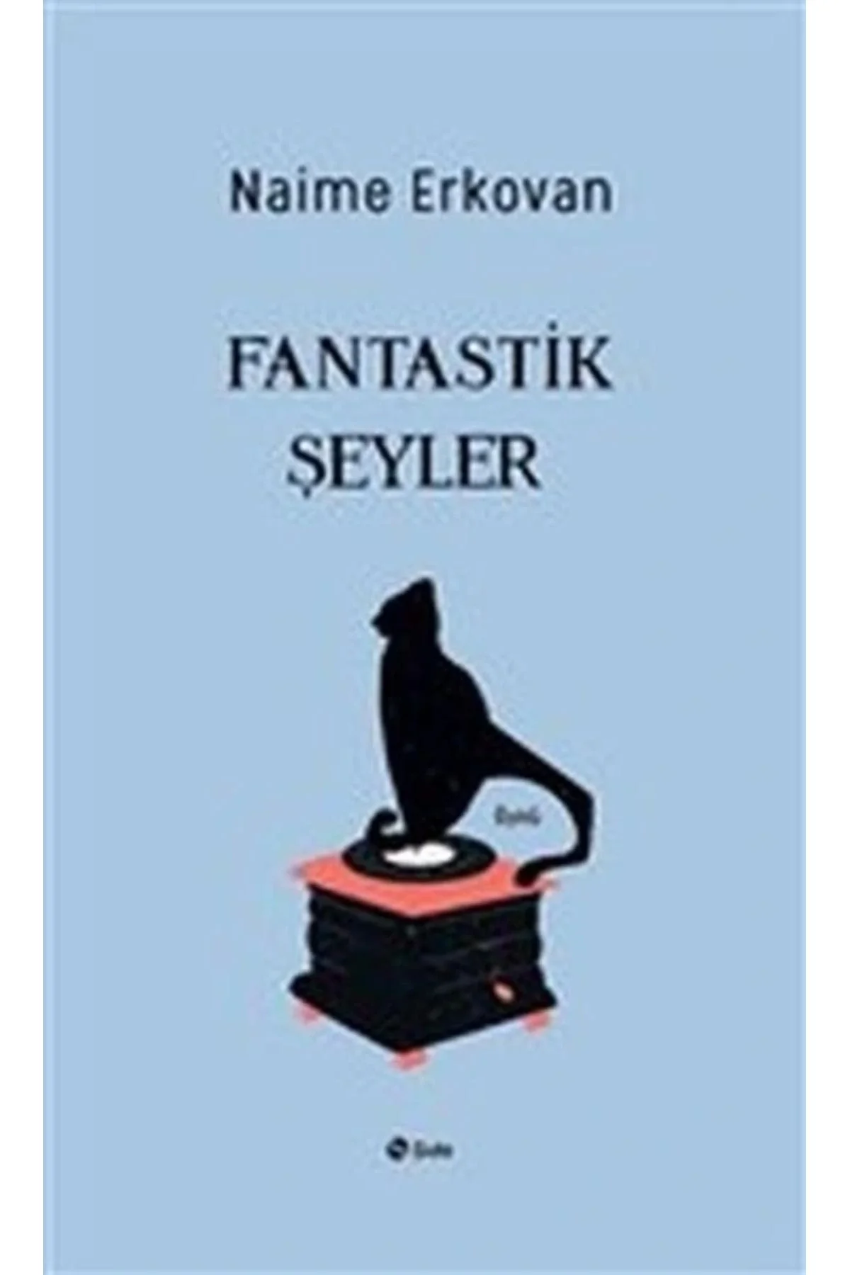 Fantastik Şeyler Naime Erkovan Şule Yayın
