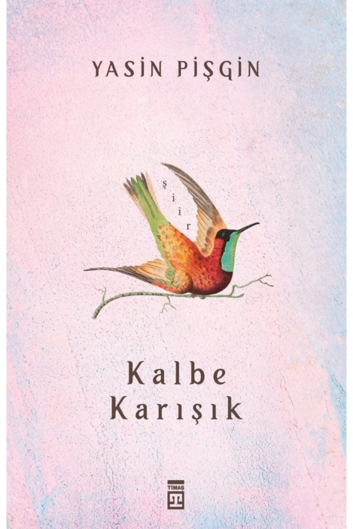 Kalbe Karışık-Şiir-Yasin Pişgin Timaş