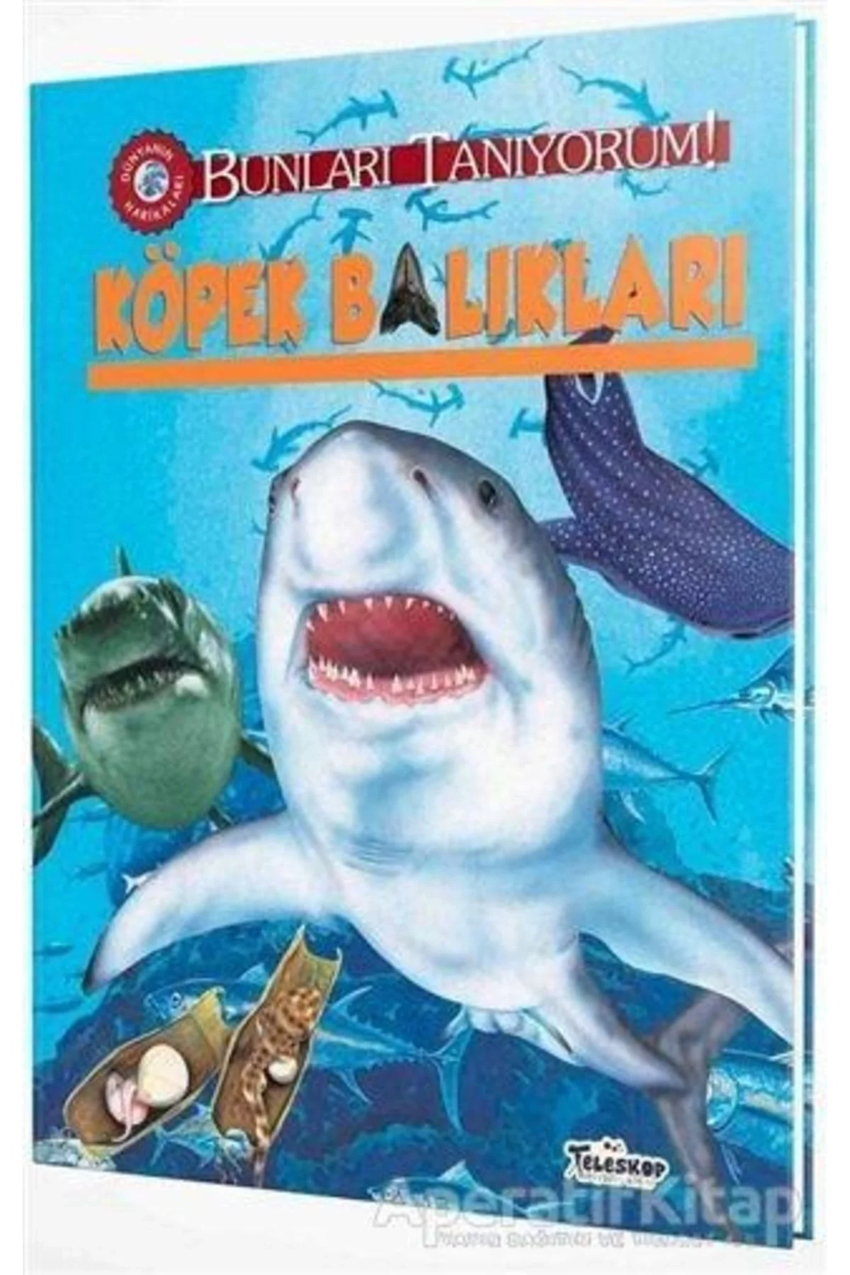 Köpek Balıkları Teleskop