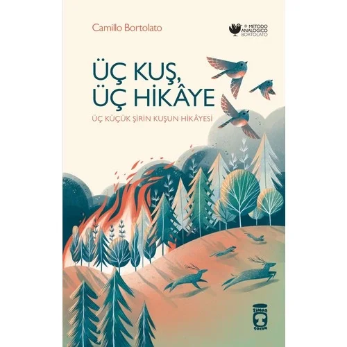 Üç Kuş Üç Hikaye Camillo Bortolato Timaş Çocuk