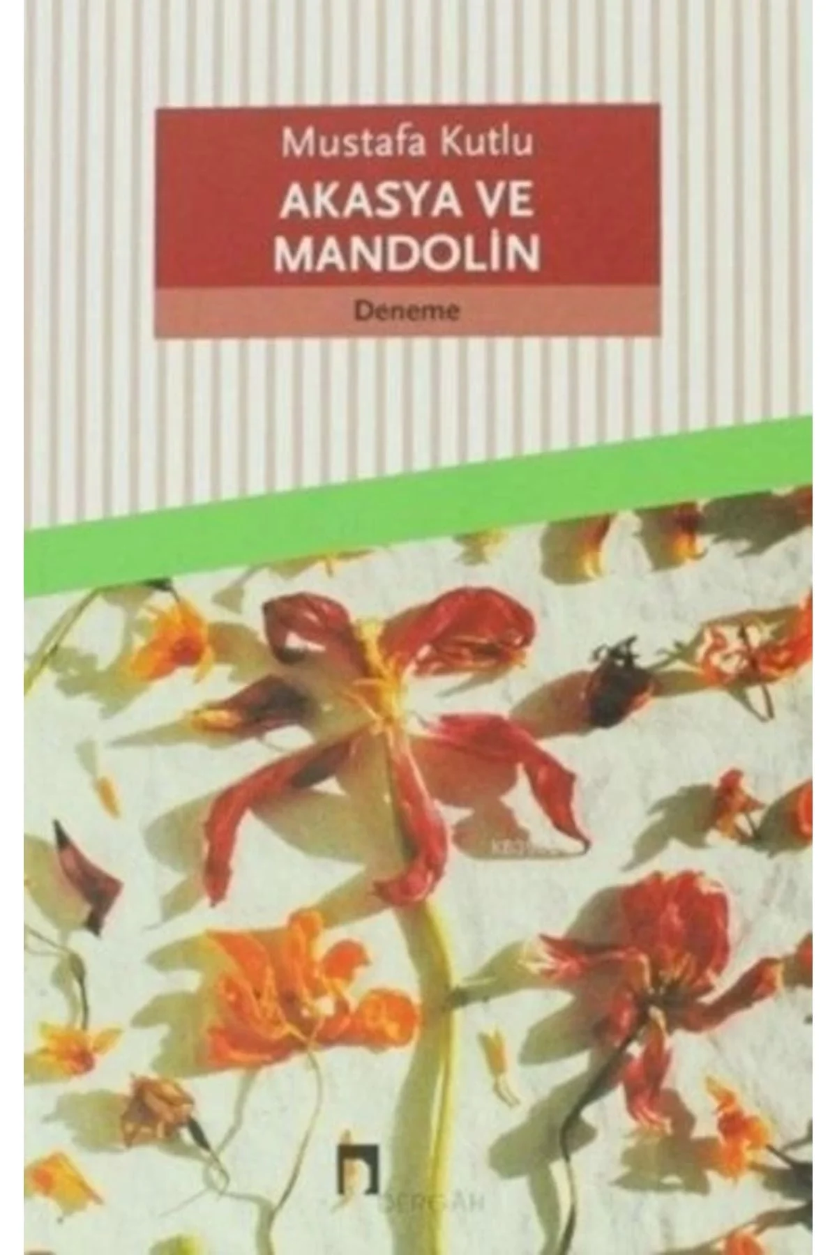 Akasya Ve Mandolin - Mustafa Kutlu - Dergah