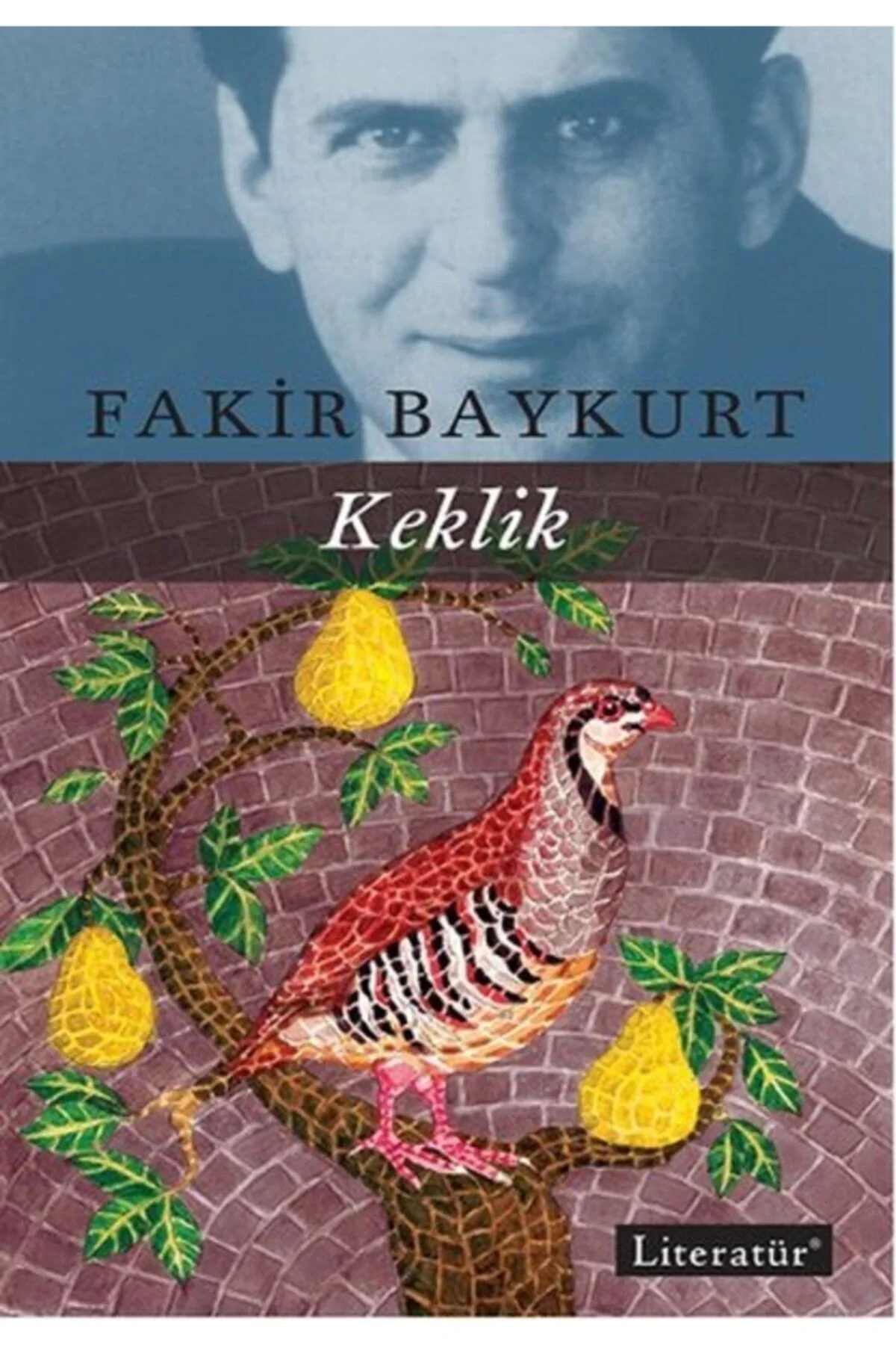Keklik - Fakir Baykurt - Literatür