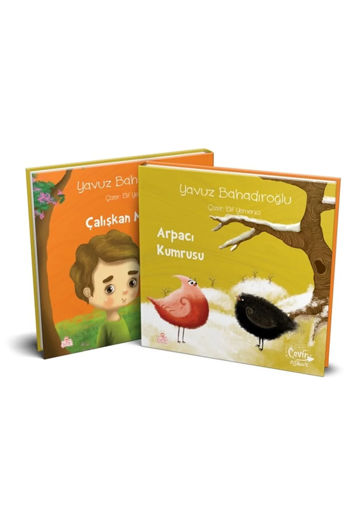 Arpacı Kumrusu Çalışkan Memet Nesil Çocuk