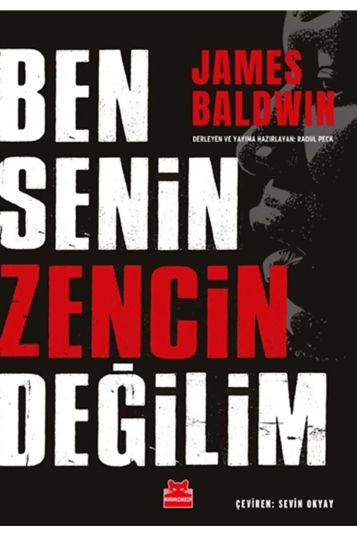 Ben Senin Zencin Değilim James Baldwın Kırmızı Kedi
