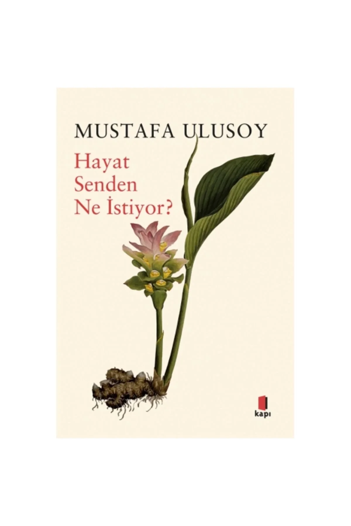 Hayat Senden Ne İstiyor Mustafa Ulusoy Kapı Yayın