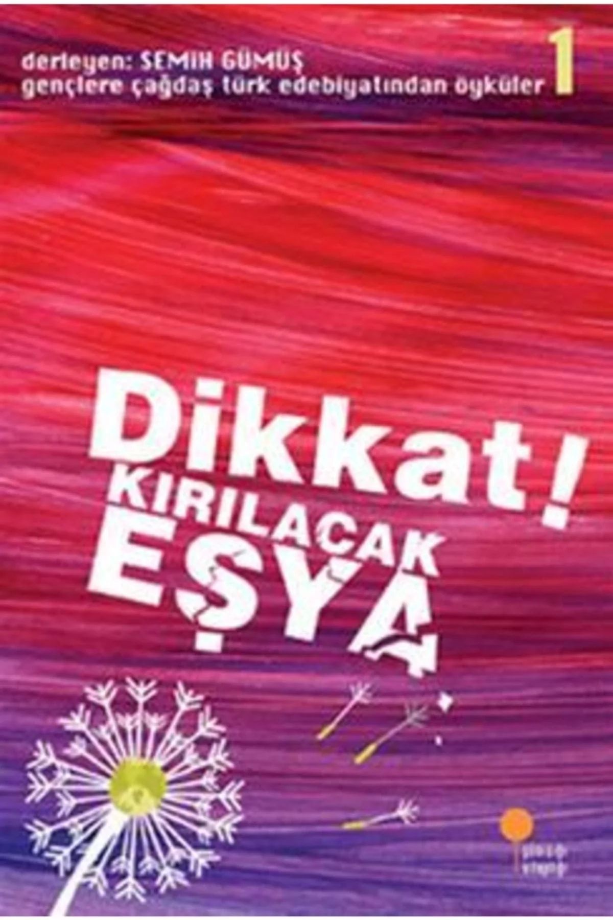 Dikkat Kırılacak Eşya Günışığı