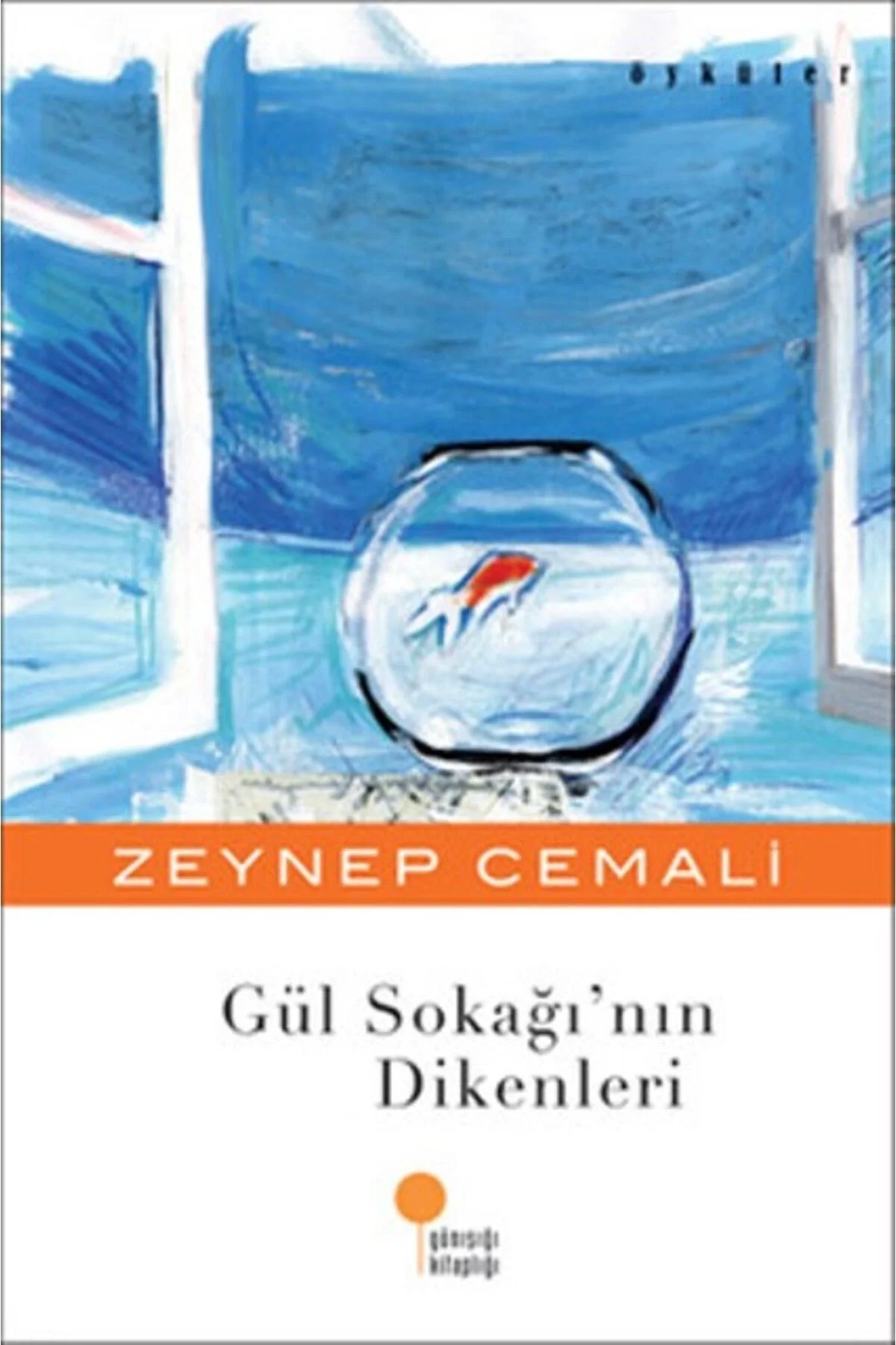 Gül Sokağının Dikenleri Zeynep Cemali Günışığı