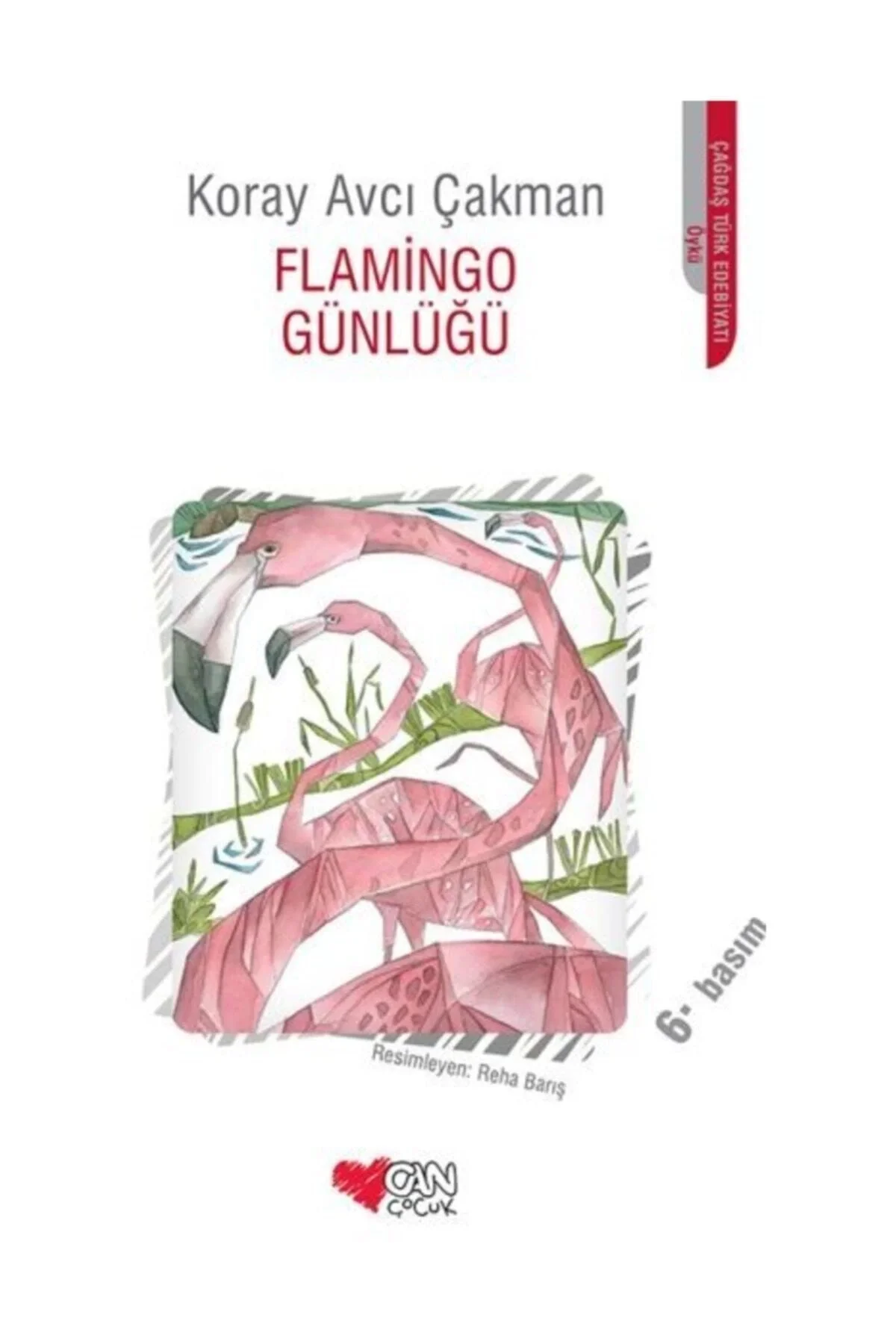 Flamingo Günlüğü Koray Avcı Çakman Can Yayın