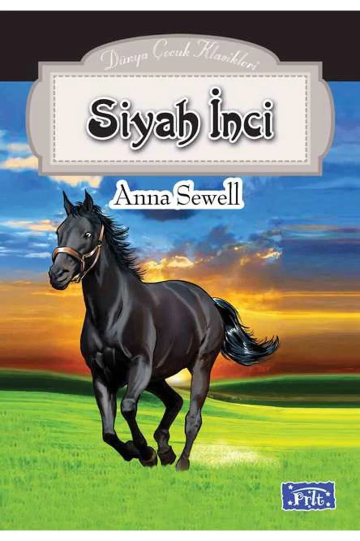 Siyah Inci Anna Sewell Parıltı