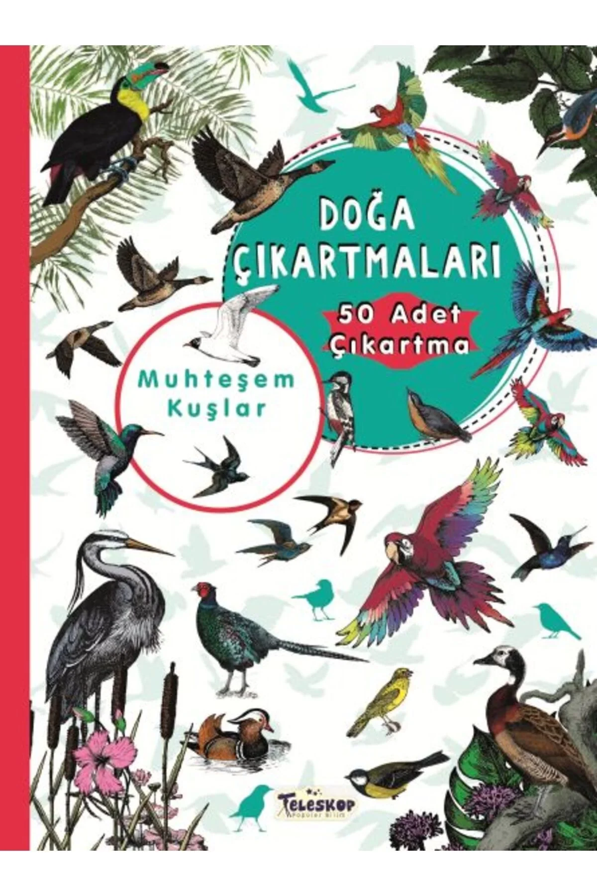 Muhteşem Kuşlar Doğa Çıkartmaları Teleskop